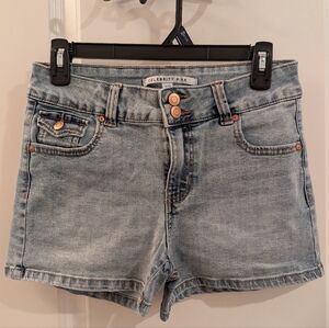 Celebrity Pink Denim Shorts